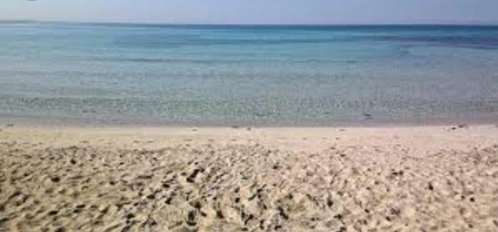 Acquazzurra Affittacamere 托雷拉皮罗 外观 照片